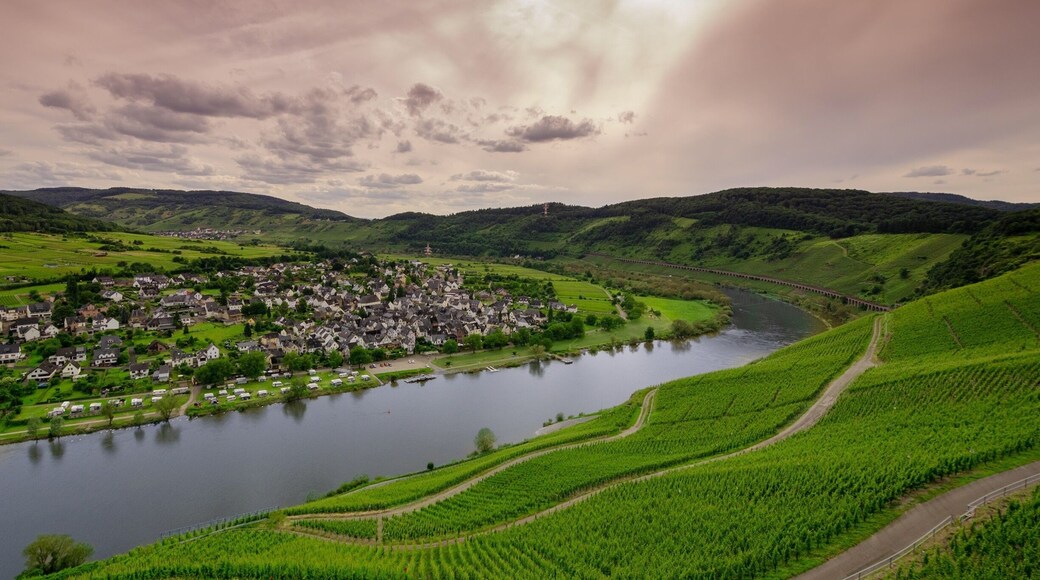 Sunset along the Mosel River in Germany in the Cochem-Zell district of Rhineland-Palatinate.