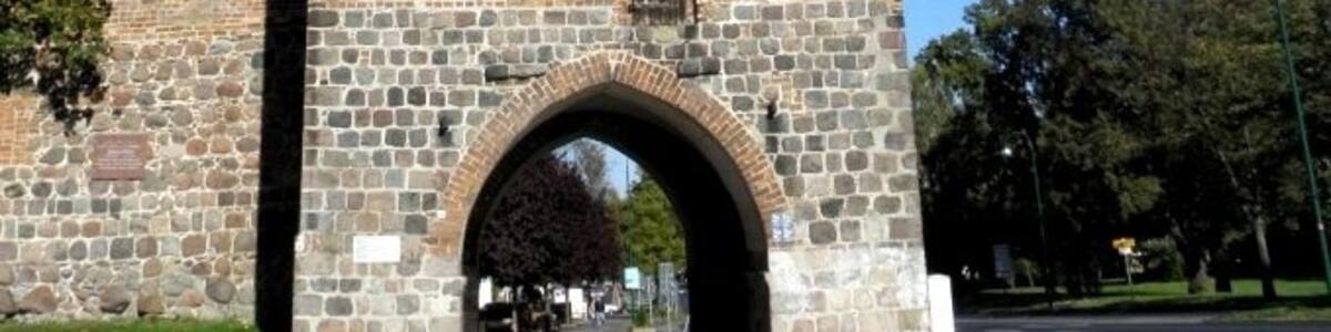 Une haute tour de pierre cylindrique, dotée de fenêtres en arc et d’un toit pointu, entourée d’arbres et bordée d’un chemin pavé.