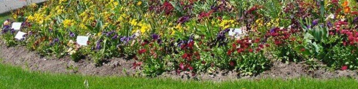 Prenzlau - Unteruckerseeufer (Shore of Lower Ucker Lake)