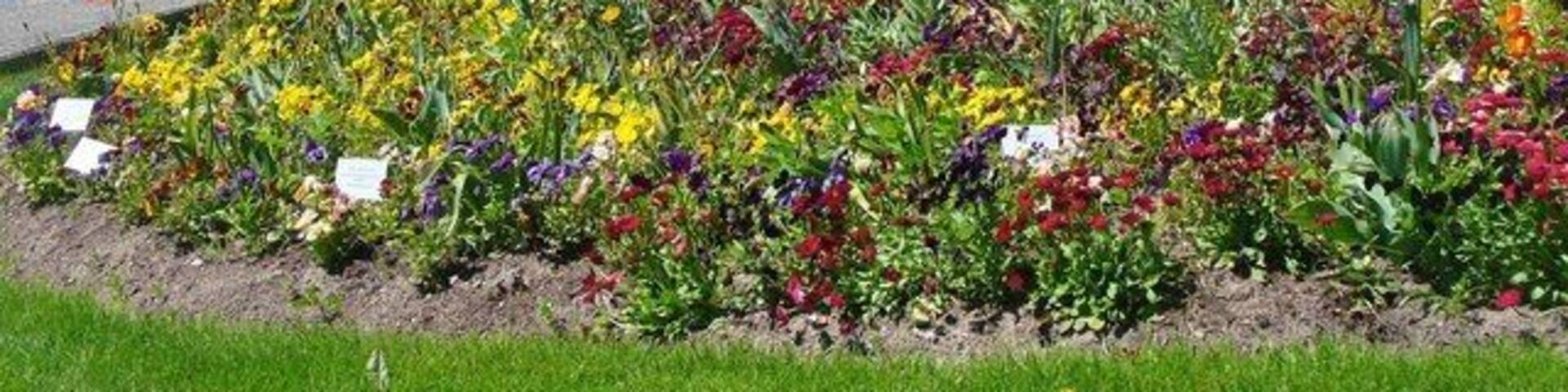 Prenzlau - Unteruckerseeufer (Shore of Lower Ucker Lake)