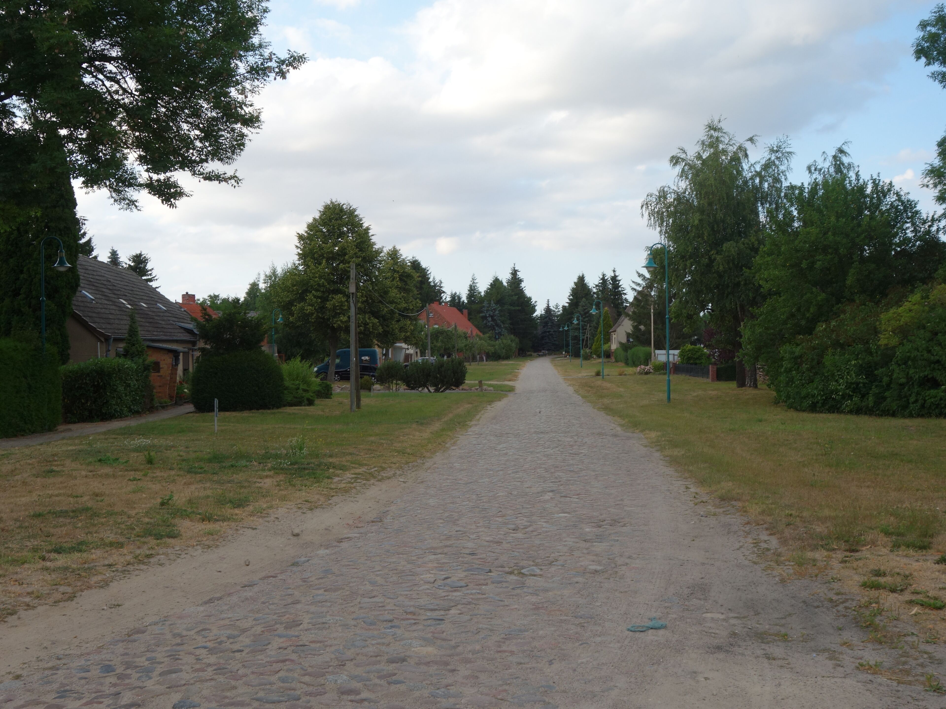 A cobblestone path in a residential area with houses, trees, and a clear sky.