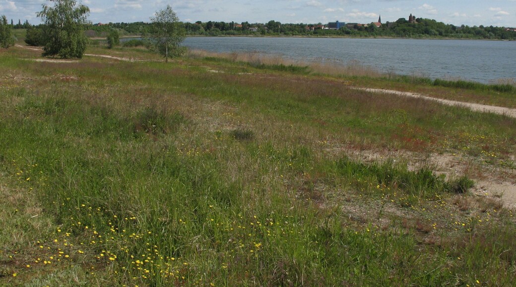 Pouch Peninsula and Pouch (municipality Muldestausee) in Saxony-Anhalt, Germany