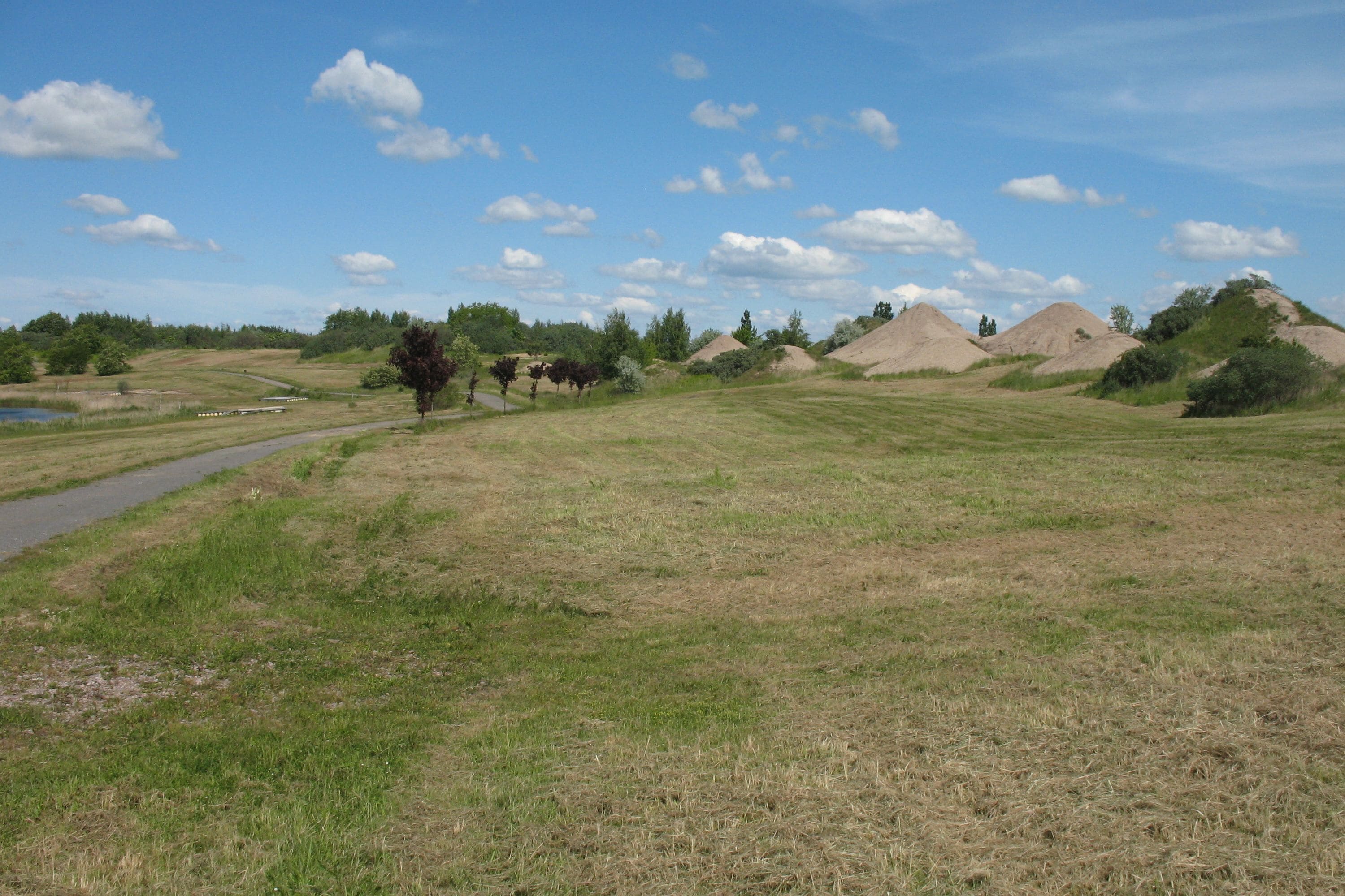 Pouch Peninsula in the municipality Muldestausee in Saxony-Anhalt, Germany