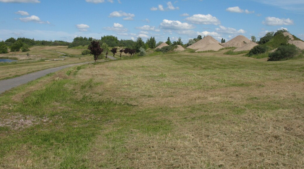 Pouch Peninsula in the municipality Muldestausee in Saxony-Anhalt, Germany