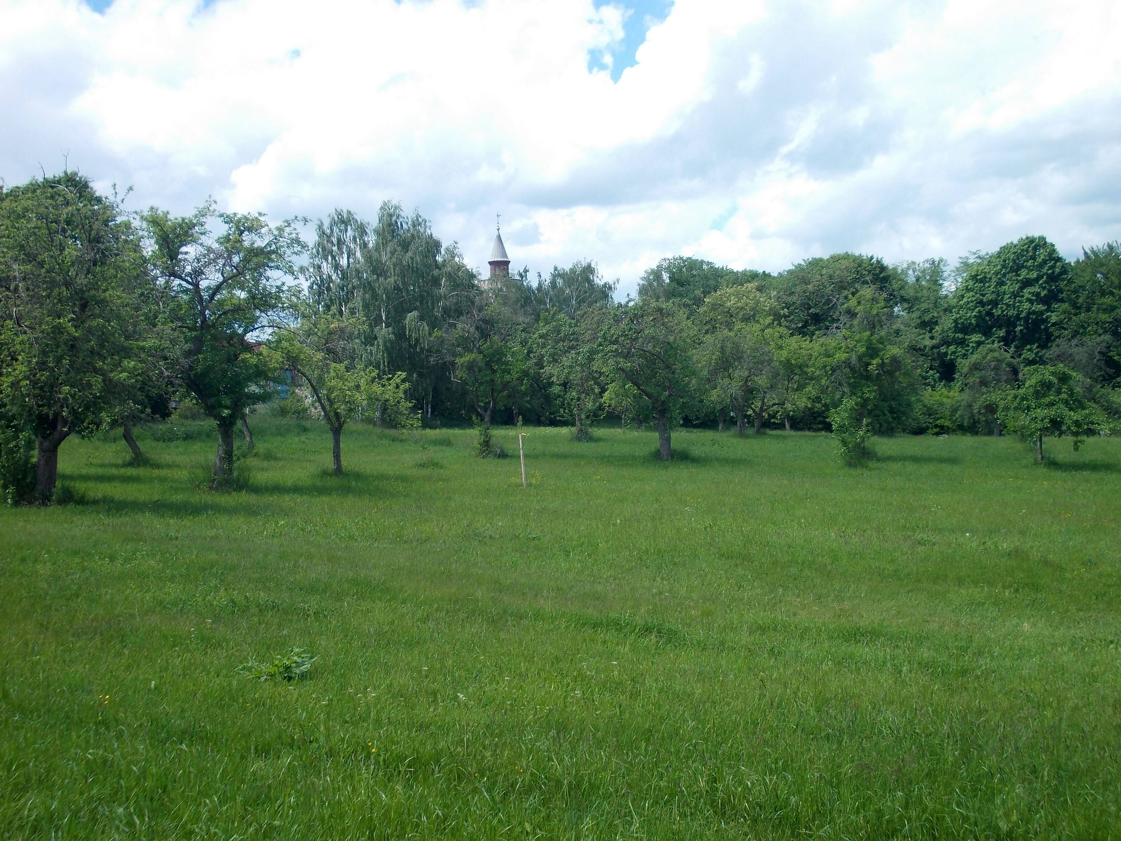 Meadow orchard near Posterstein castle (Altenburger Land district, Thuringia) in the Sprottetal protected landscape area
