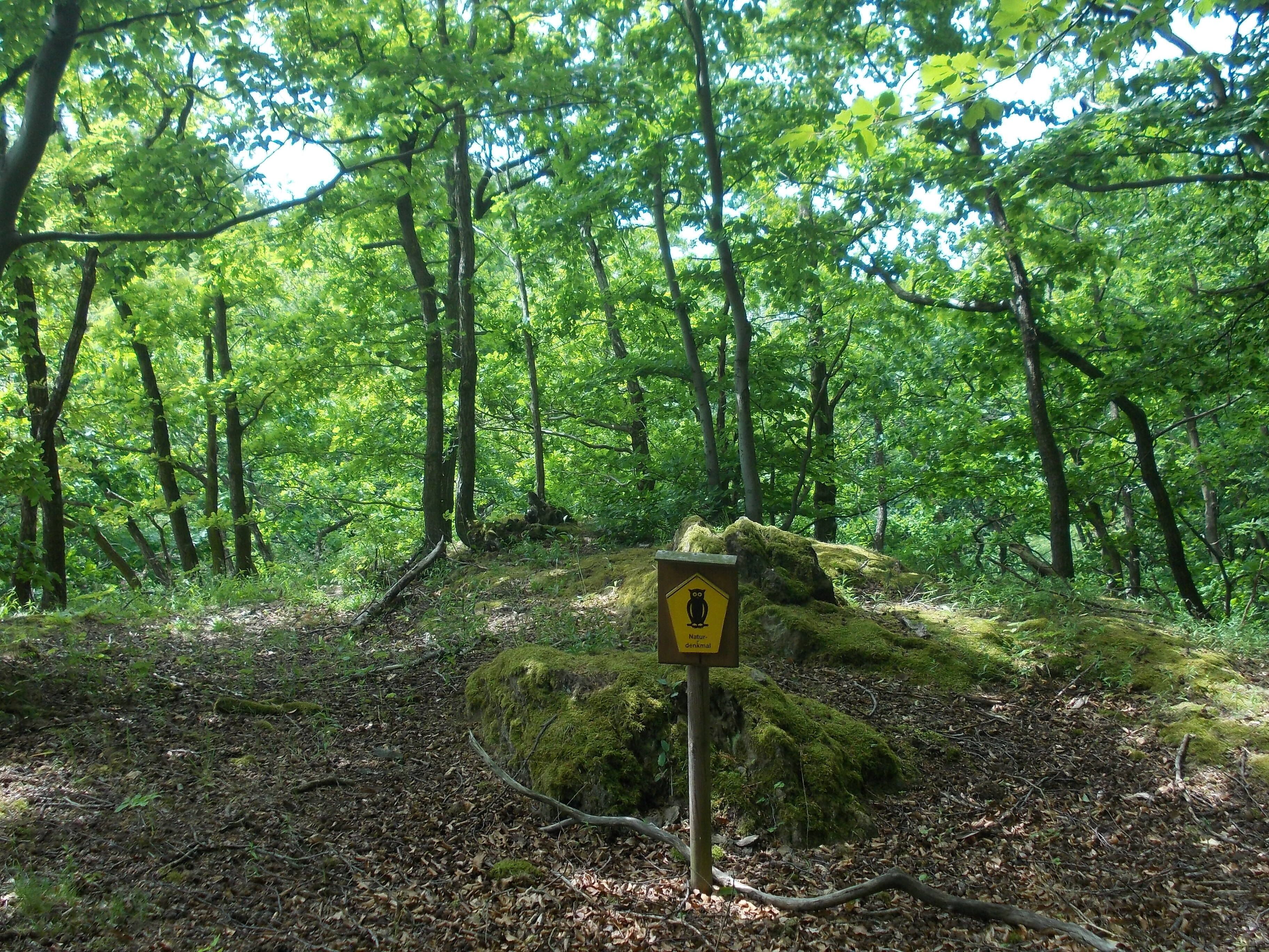 A natural monument north of Posterstein (Altenburger Land district, Thuringia)