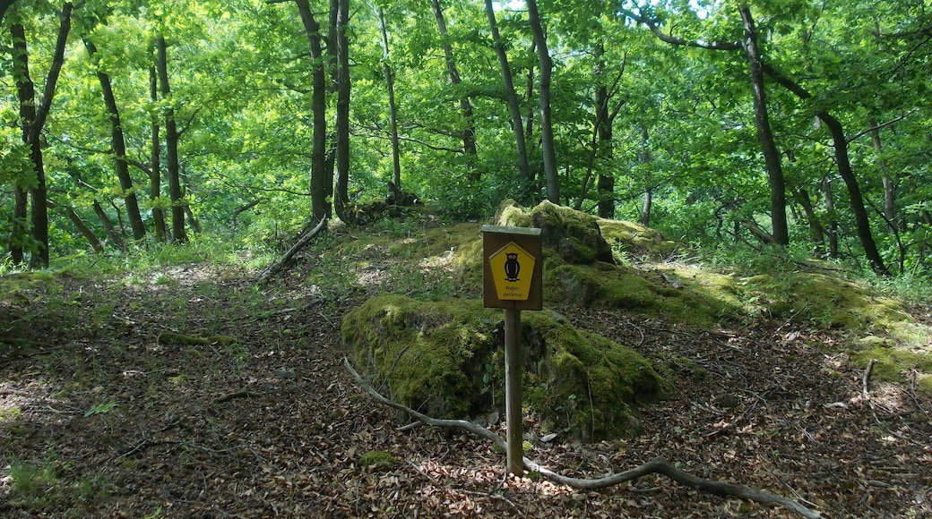 A natural monument north of Posterstein (Altenburger Land district, Thuringia)