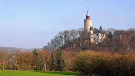 Un castillo sobre una colina con una torre, rodeado de árboles y un campo verde.