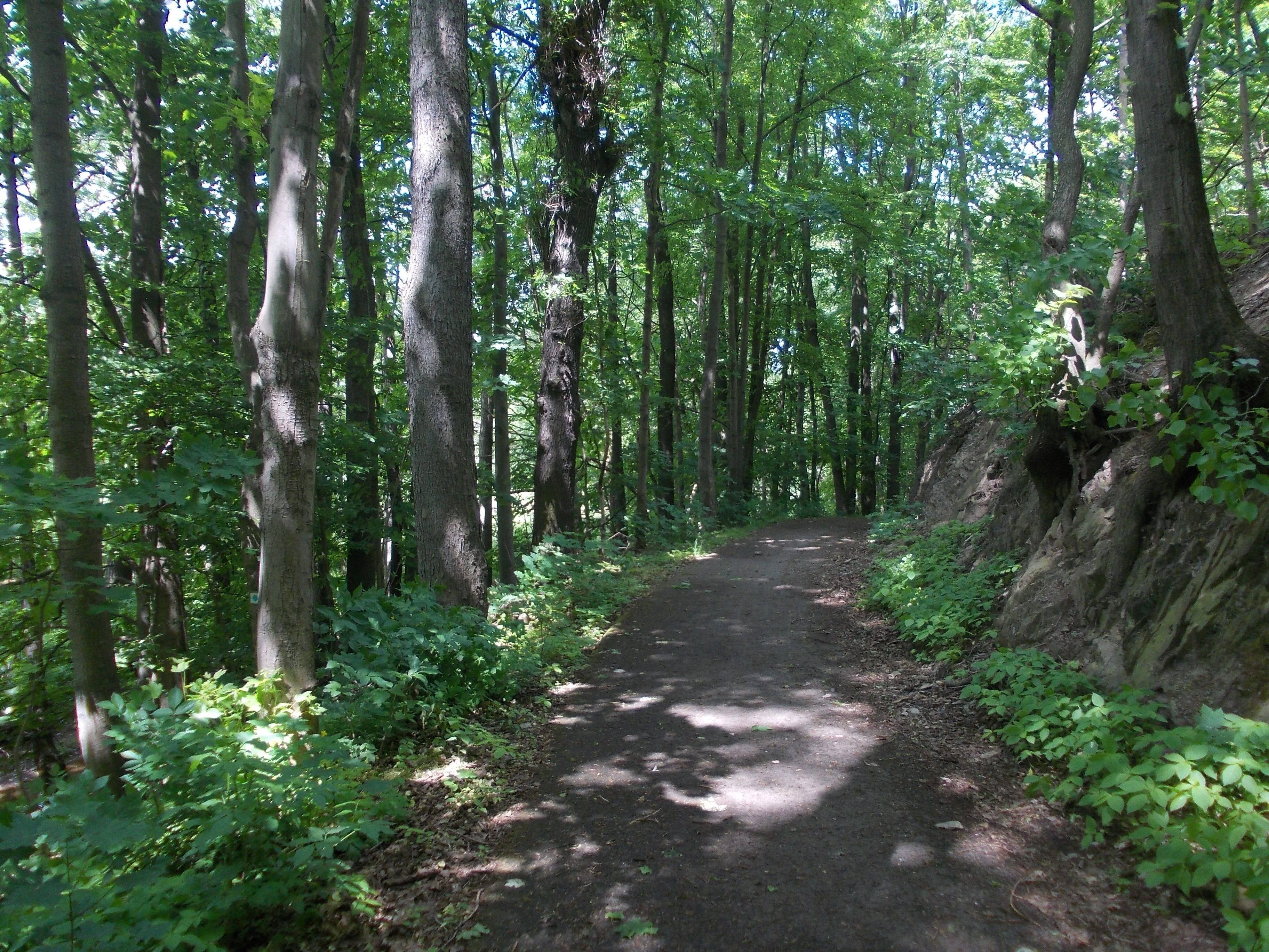 Hiking trail (Luther Trail and Thuringia Trail) in the Sprottetal protected landscape area between Rothenmühle and Nöbdenitz (Altenburger Land district, Thuringia)