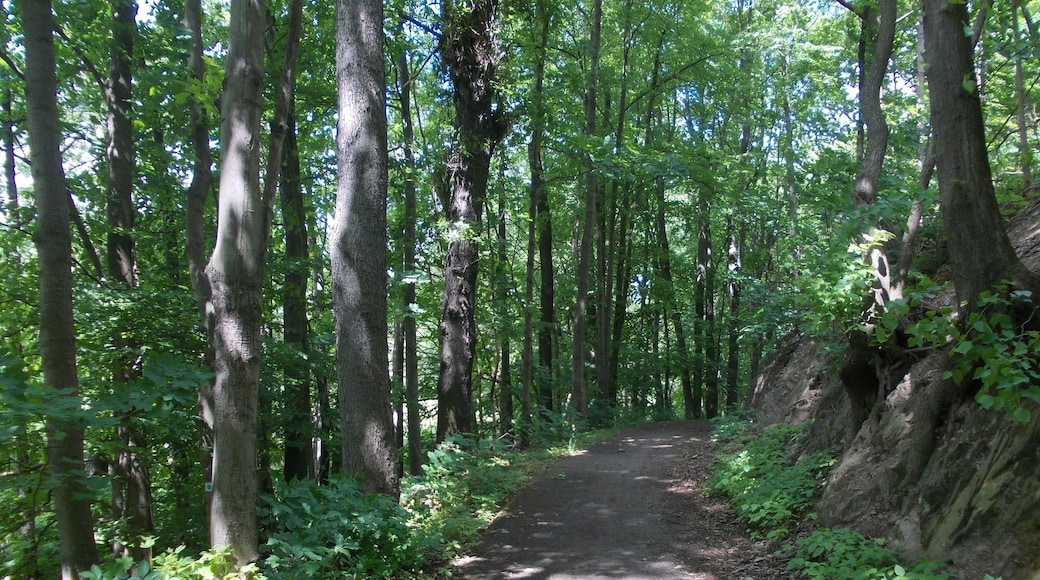 Hiking trail (Luther Trail and Thuringia Trail) in the Sprottetal protected landscape area between Rothenmühle and Nöbdenitz (Altenburger Land district, Thuringia)