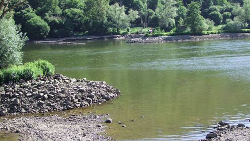 zwischen Pommern und Klotten