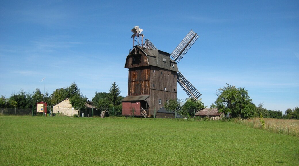 Petkus - Mühle am Fläming-Skate RK1