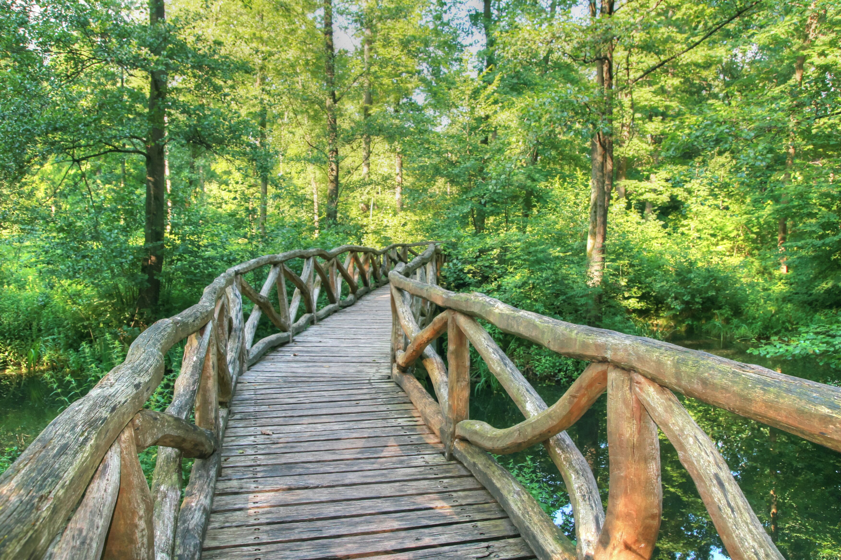 Die Holzbrücke am Alten Federbach, ein Teil des MÖBS-Radrundweges.