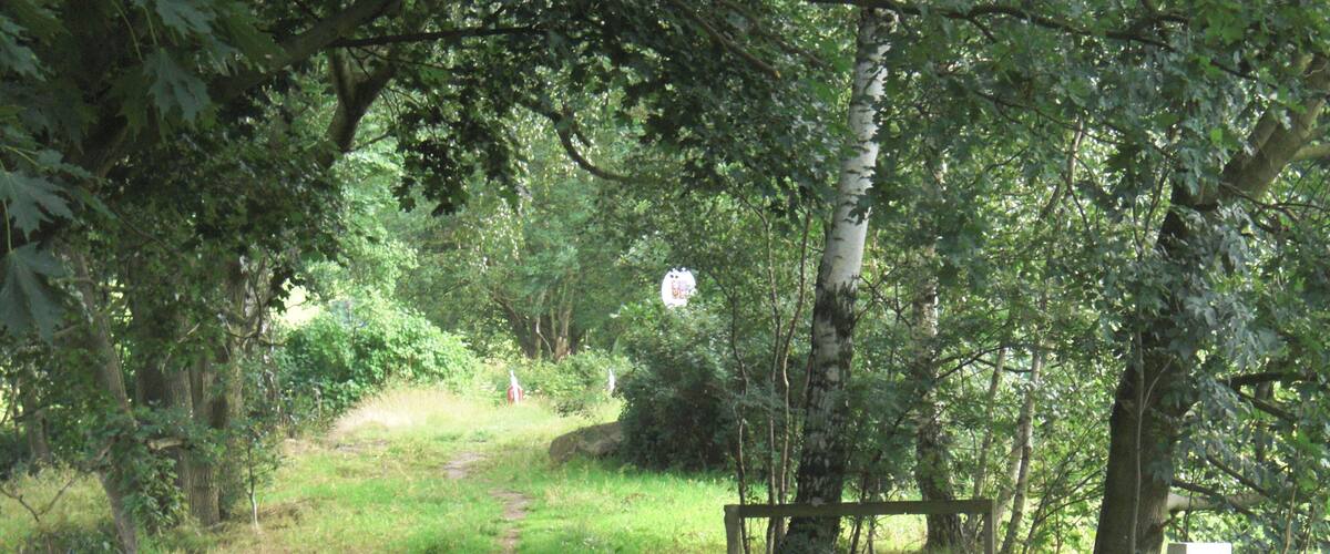 A forest path with a wooden bench and a signpost.