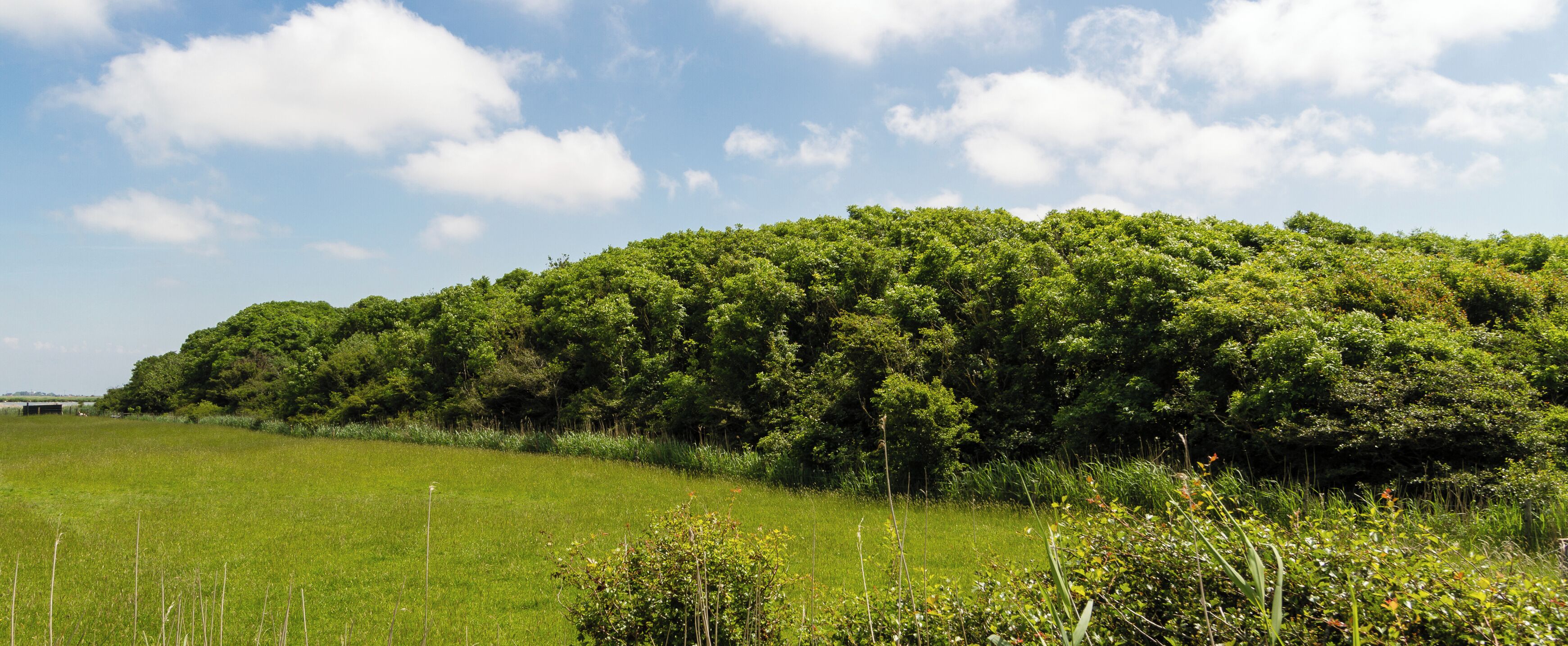 Designation: Duck decoy Oldsum Location: Meedeweg Place: Dunsum, Collective municipality Föhr-Amrum, District Nordfriesland, Schleswig-Holstein, Federal Republic of Germany Description: Device to capture wild ducks Object identification: 22063
