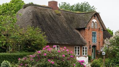 A traditional brick house with a thatched roof, surrounded by lush greenery and vibrant pink flowers.