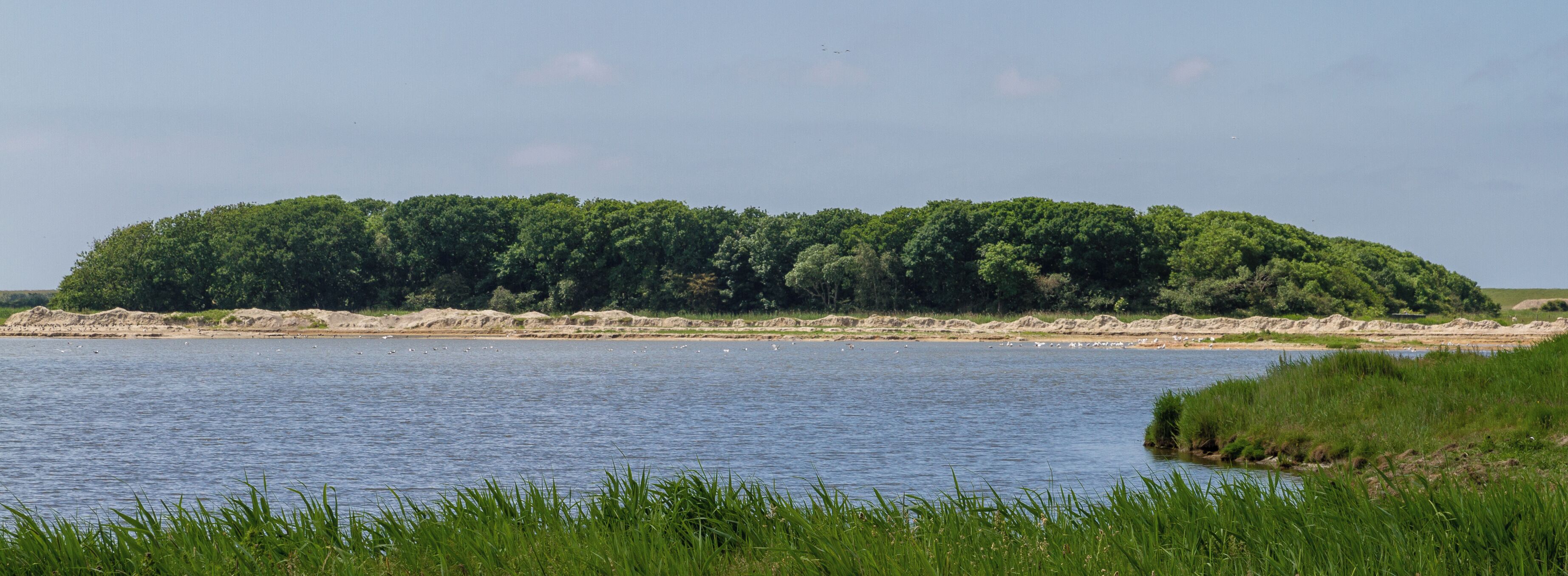 Designation: Duck decoy Oldsum Location: Meedeweg Place: Dunsum, Collective municipality Föhr-Amrum, District Nordfriesland, Schleswig-Holstein, Federal Republic of Germany Description: Device to capture wild ducks Object identification: 22063
