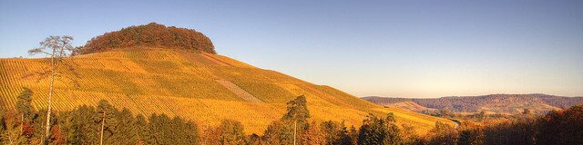 Forstberg in der Herbstsonne