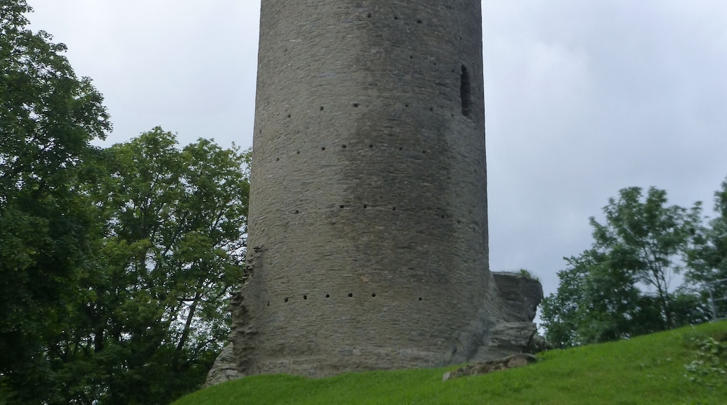 Bergfried der Burg Reifenberg