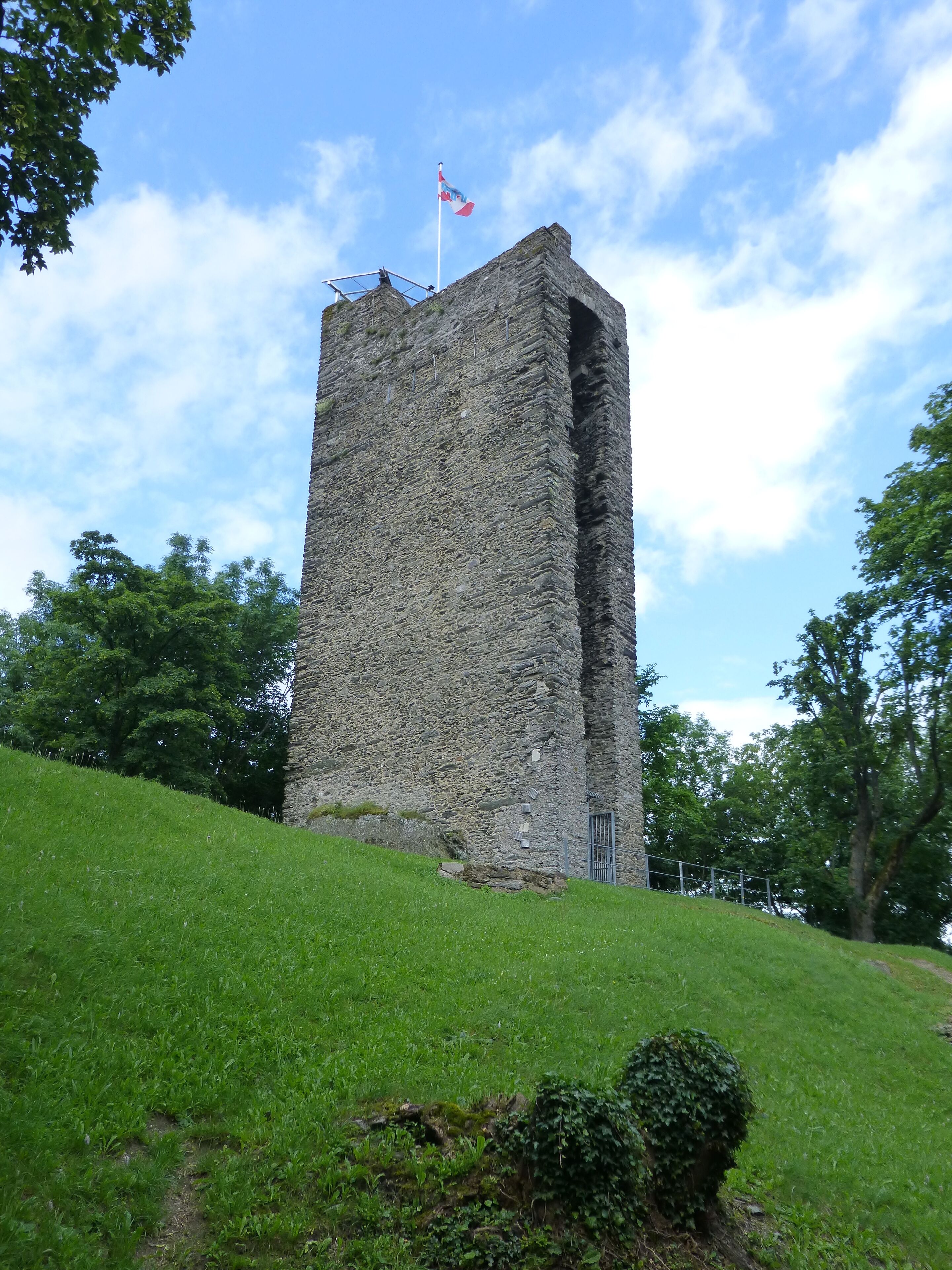 Burg Reifenberg; Westansicht des Wohnturms