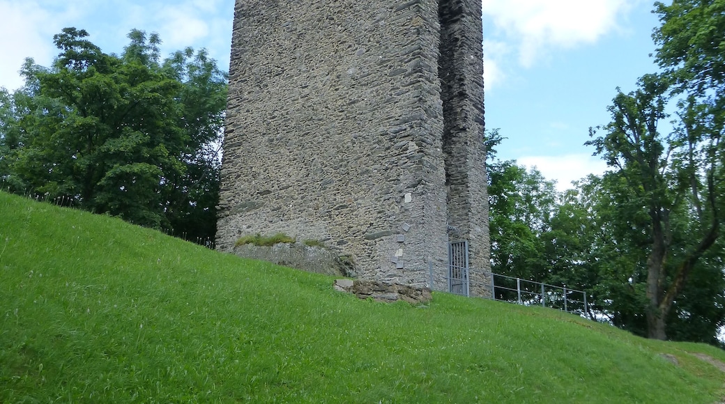 Burg Reifenberg; Westansicht des Wohnturms
