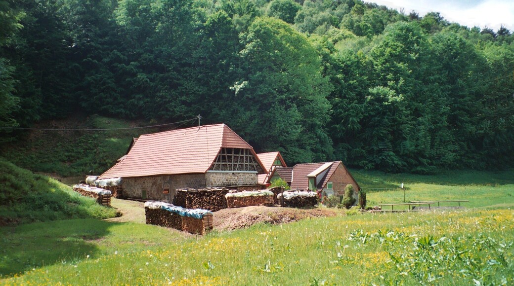 Oberotterbach, foresterÂŽs lodge