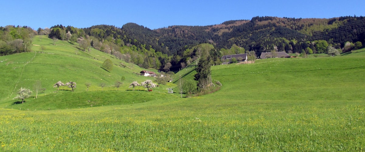 Münstertal/Schwarzwald