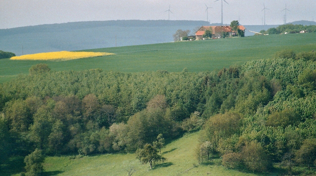 Moschellandsburg, view towards a farm