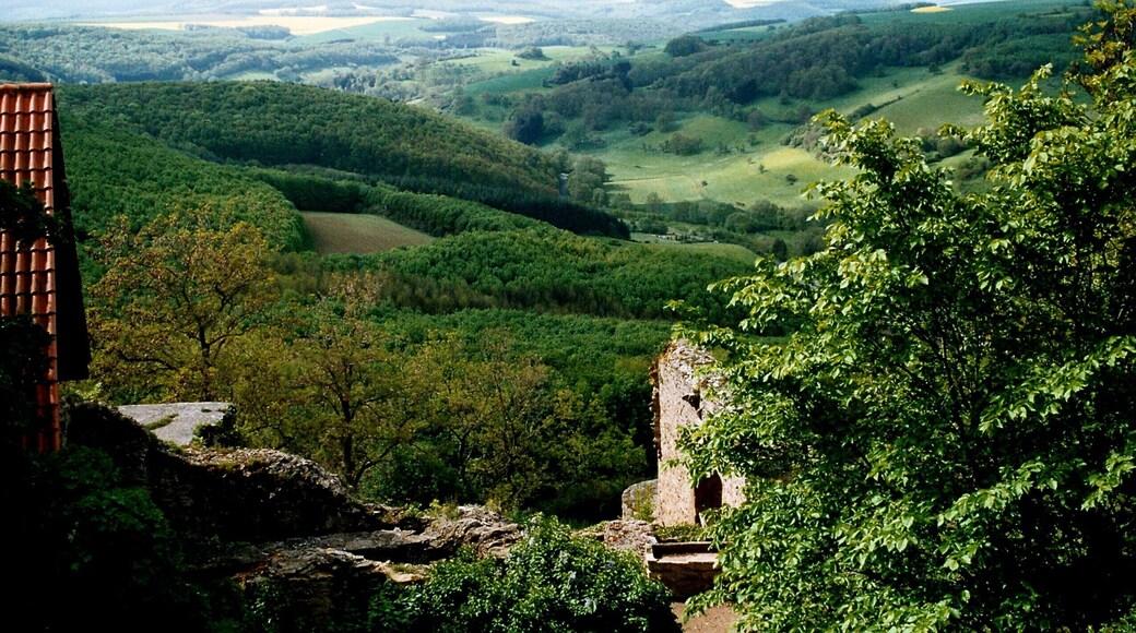 Moschellandsburg, view southwards