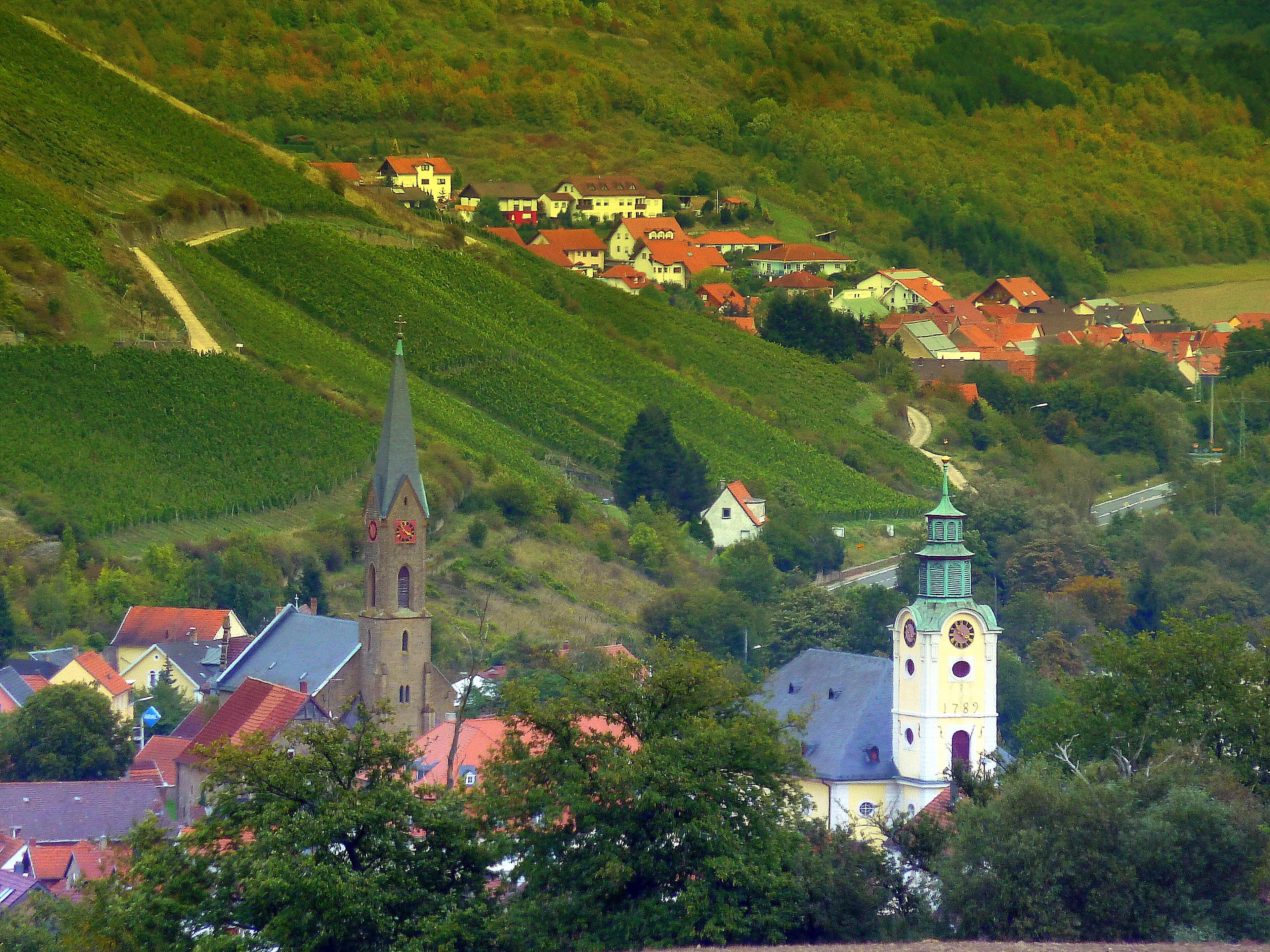 A church with a tall steeple and a clock tower, surrounded by houses and vineyards on a hillside.