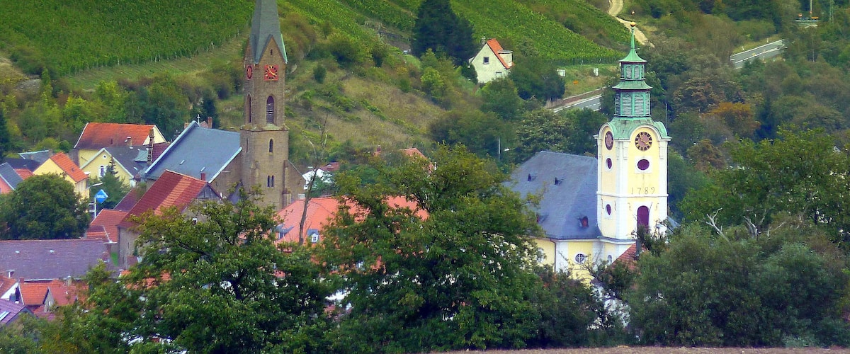 A church with a tall steeple and a clock tower, surrounded by houses and vineyards on a hillside.