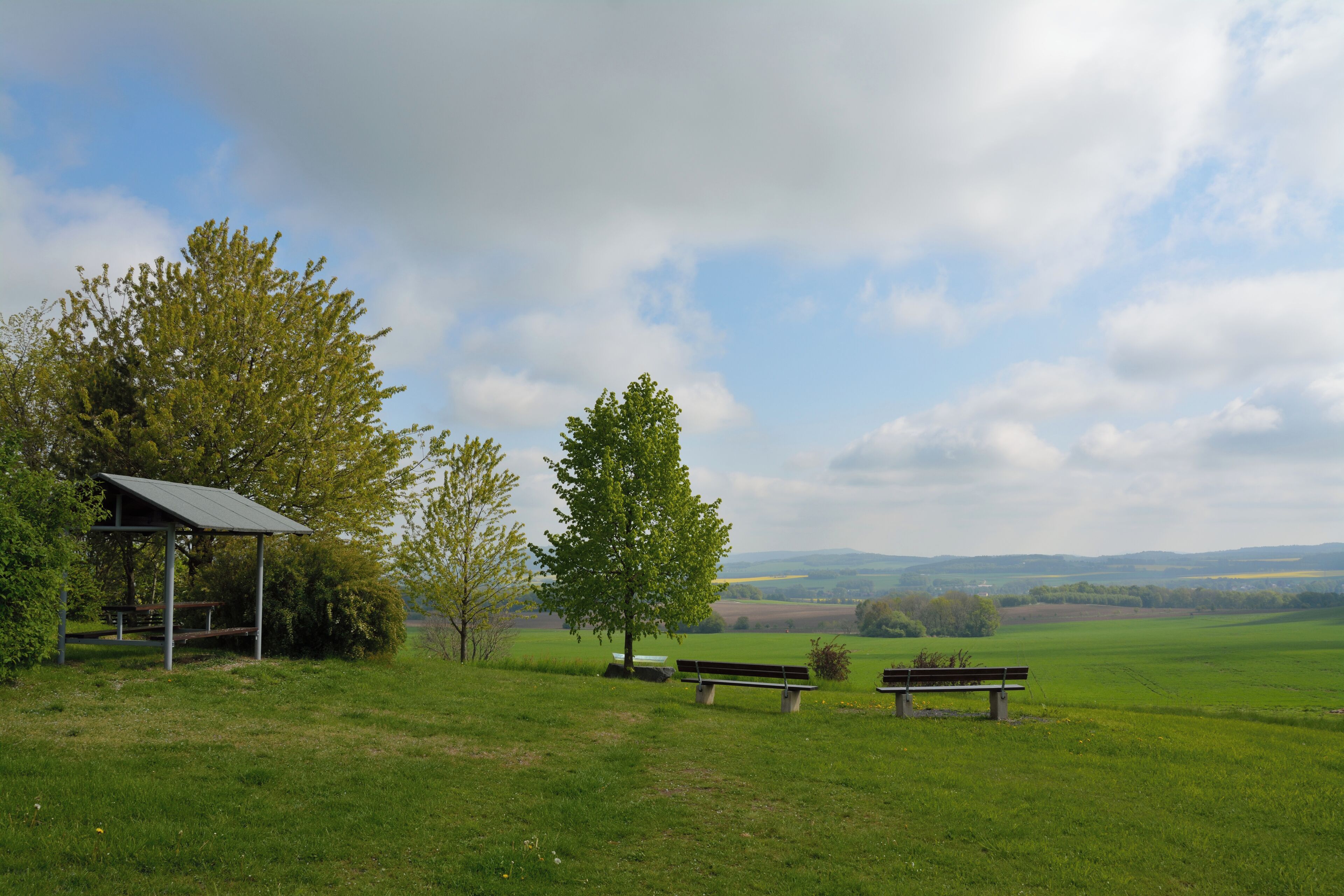 A grassy park with a gazebo, benches, and trees.