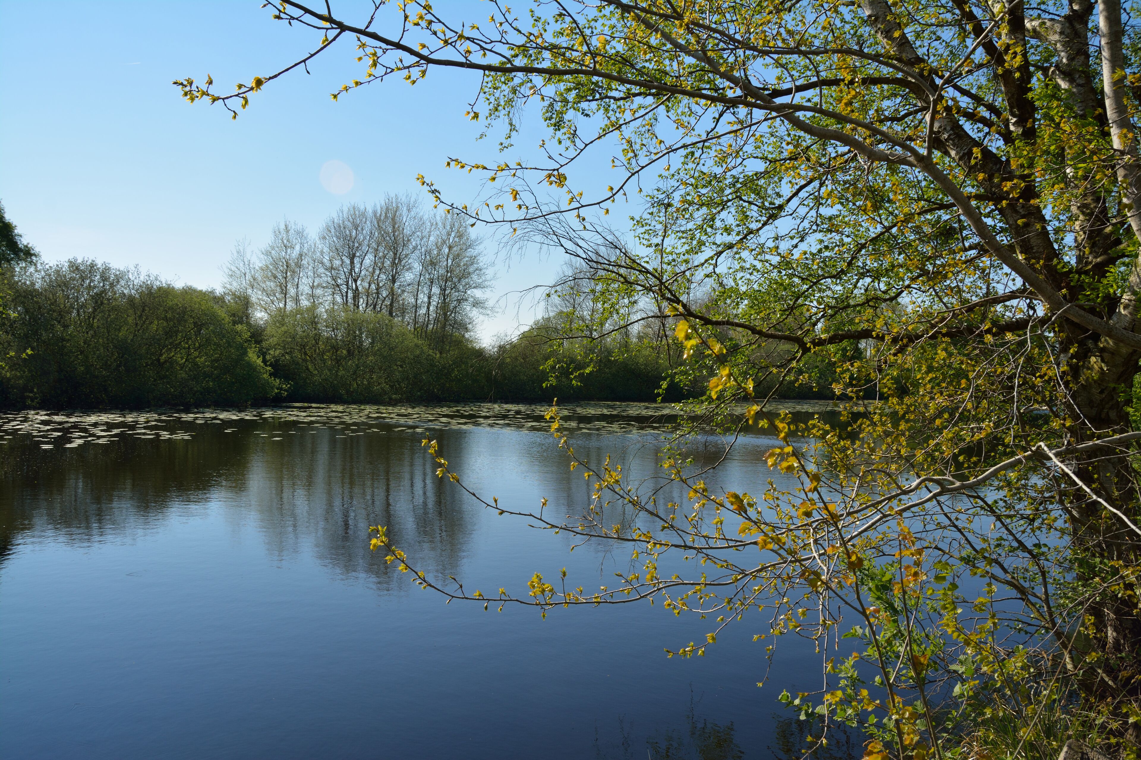 This is a picture of the protected area listed at WDPA under the ID