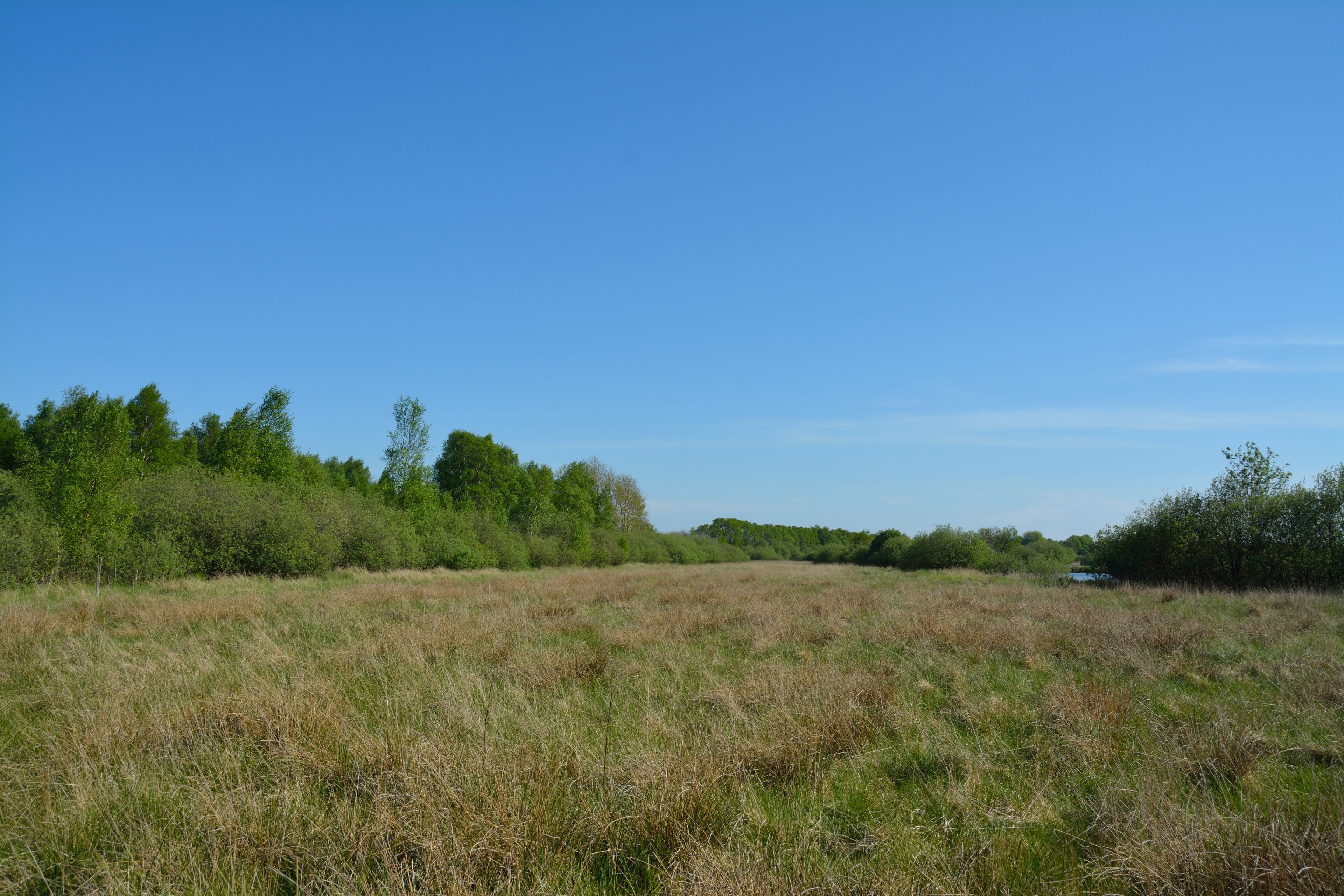 This is a picture of the protected area listed at WDPA under the ID