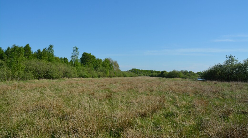 This is a picture of the protected area listed at WDPA under the ID