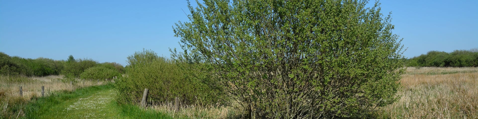 This is a picture of the protected area listed at WDPA under the ID