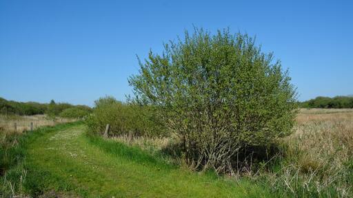 This is a picture of the protected area listed at WDPA under the ID