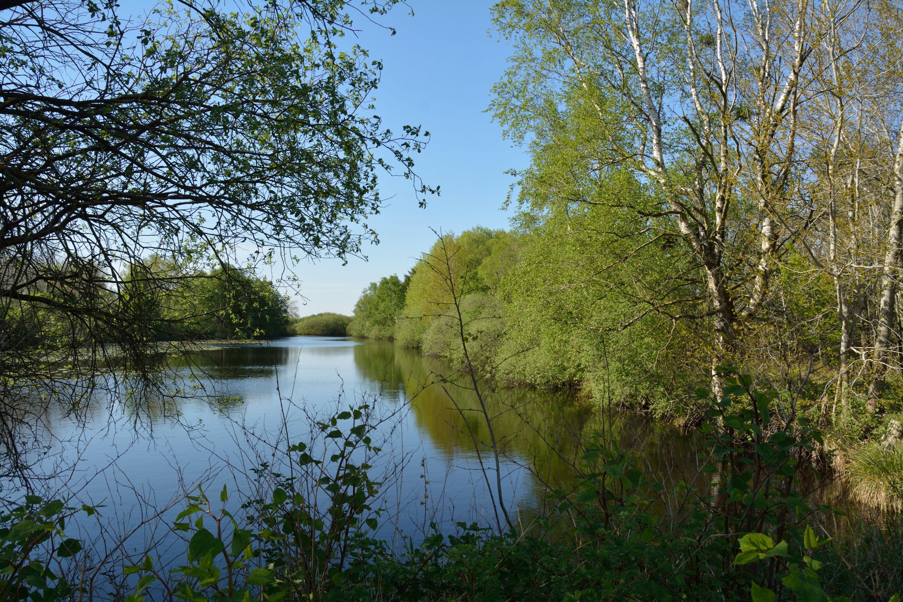 This is a picture of the protected area listed at WDPA under the ID