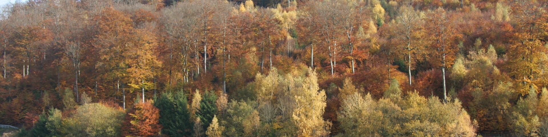 Primstalsperre Nonnweiler