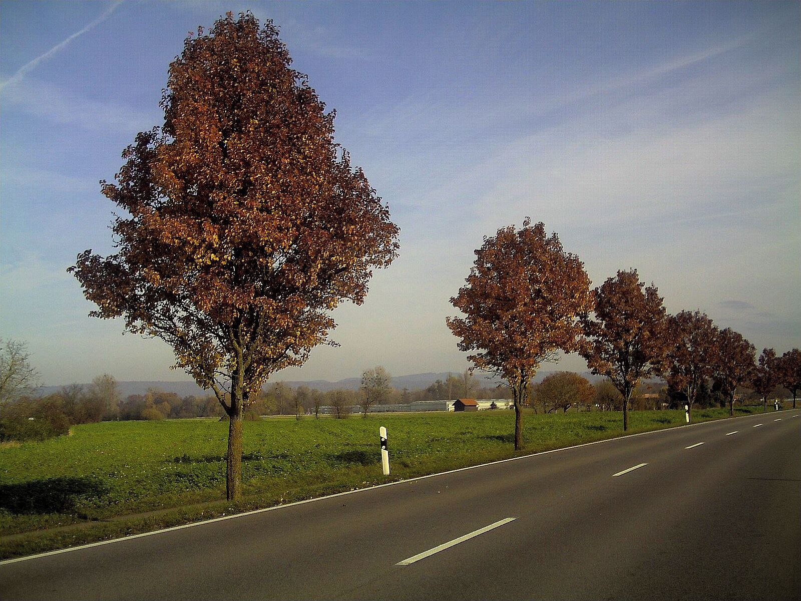 L114 westlich von Nimburg