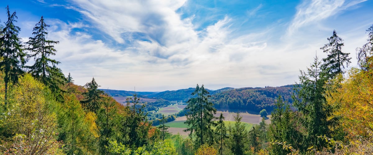 A mountainous landscape with evergreen trees and a clear blue sky.