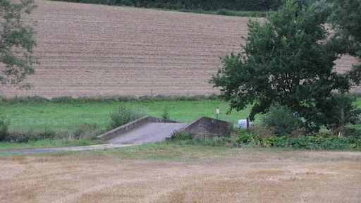 die von der Riedener Straße hierher versetzte alte Sandsteinbrücke über die Ems