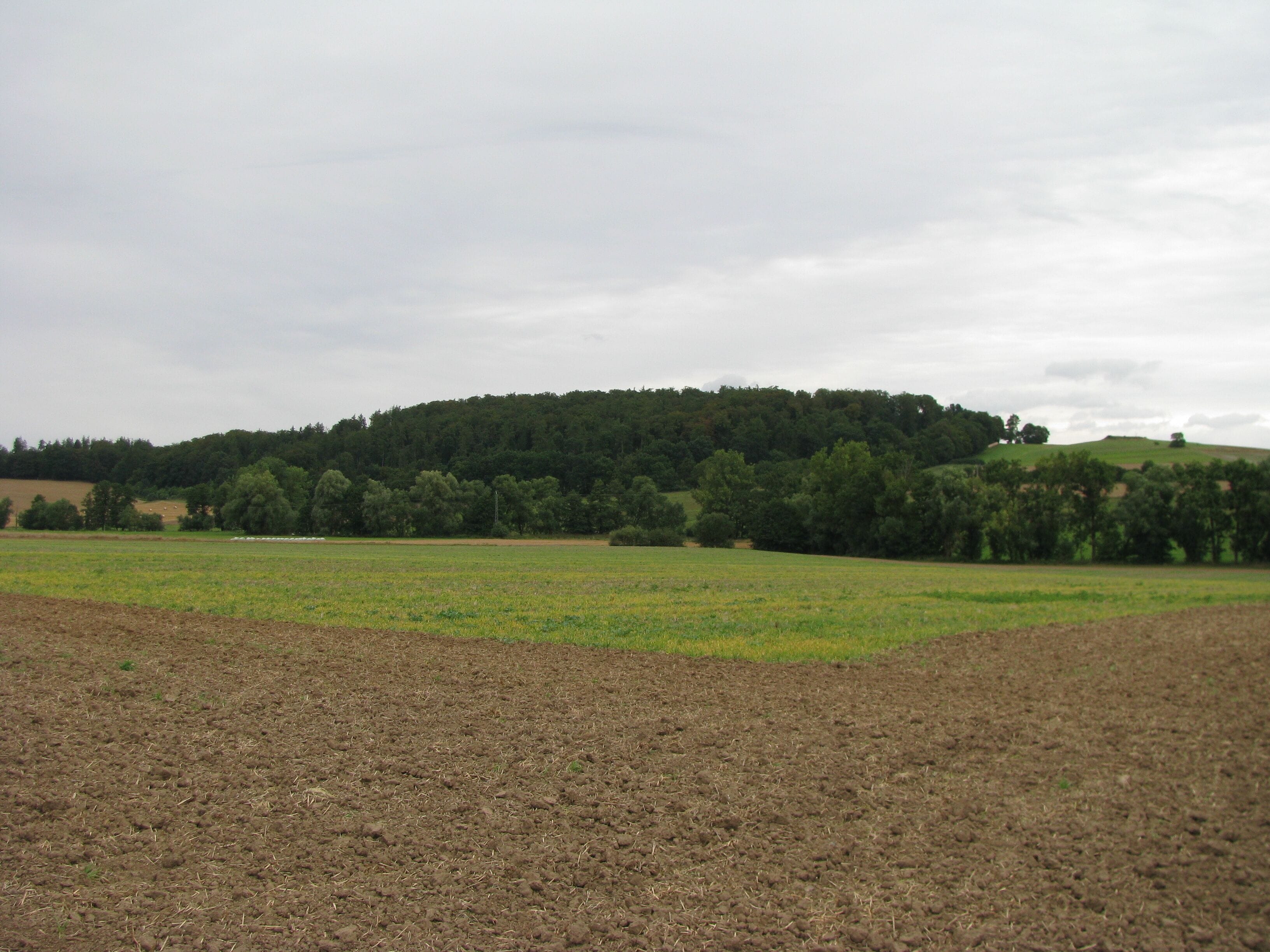 das Tal der Ems nördlich von Kirchberg-Niedenstein