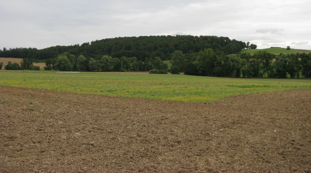 das Tal der Ems nördlich von Kirchberg-Niedenstein