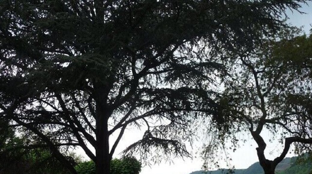 Mi foto preferida #paisaje #alemania #rhin