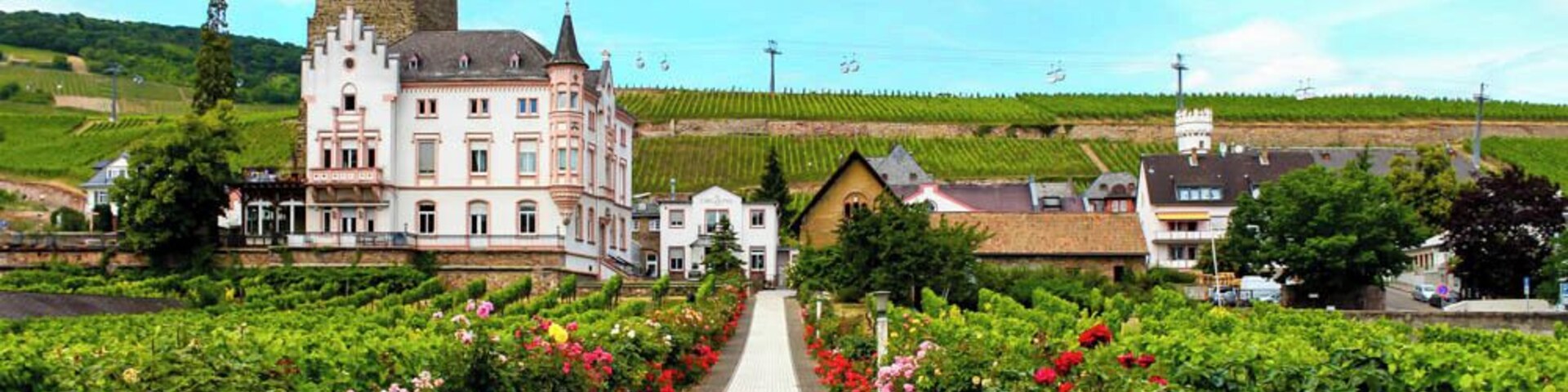 A shot from our day cruise along the UNESCO section of the Rhine River in Germany. From Rudesheim to Koblenz, our jaws were dropping at the spectacular views of historic castles, charming towns, and wine vineyards draping the mountains along the river. This is an experience for the bucket list!
http://thetradingtravelers.com/cruising-the-rhine-river/