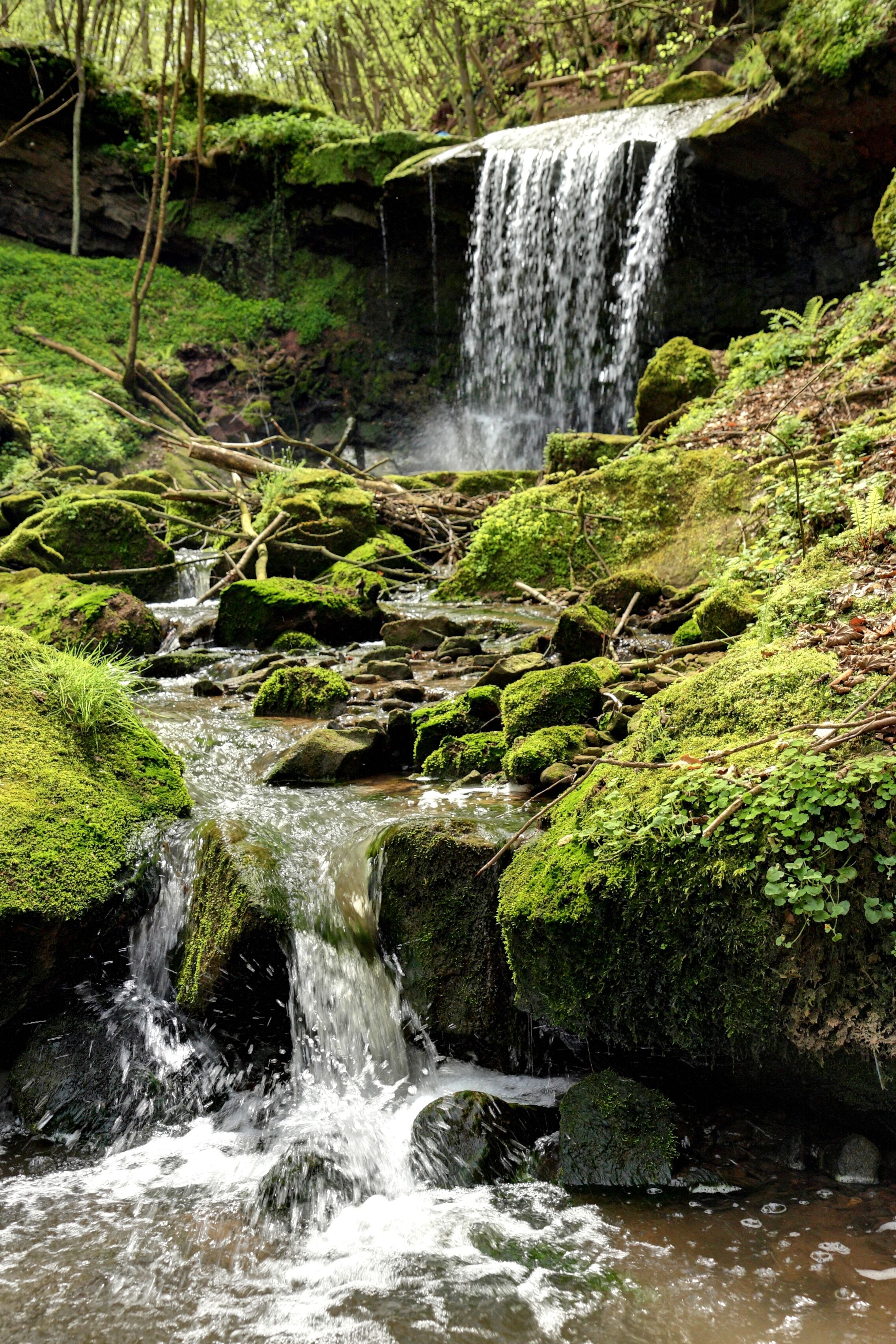 A cascading waterfall over moss-covered rocks in a forested area.