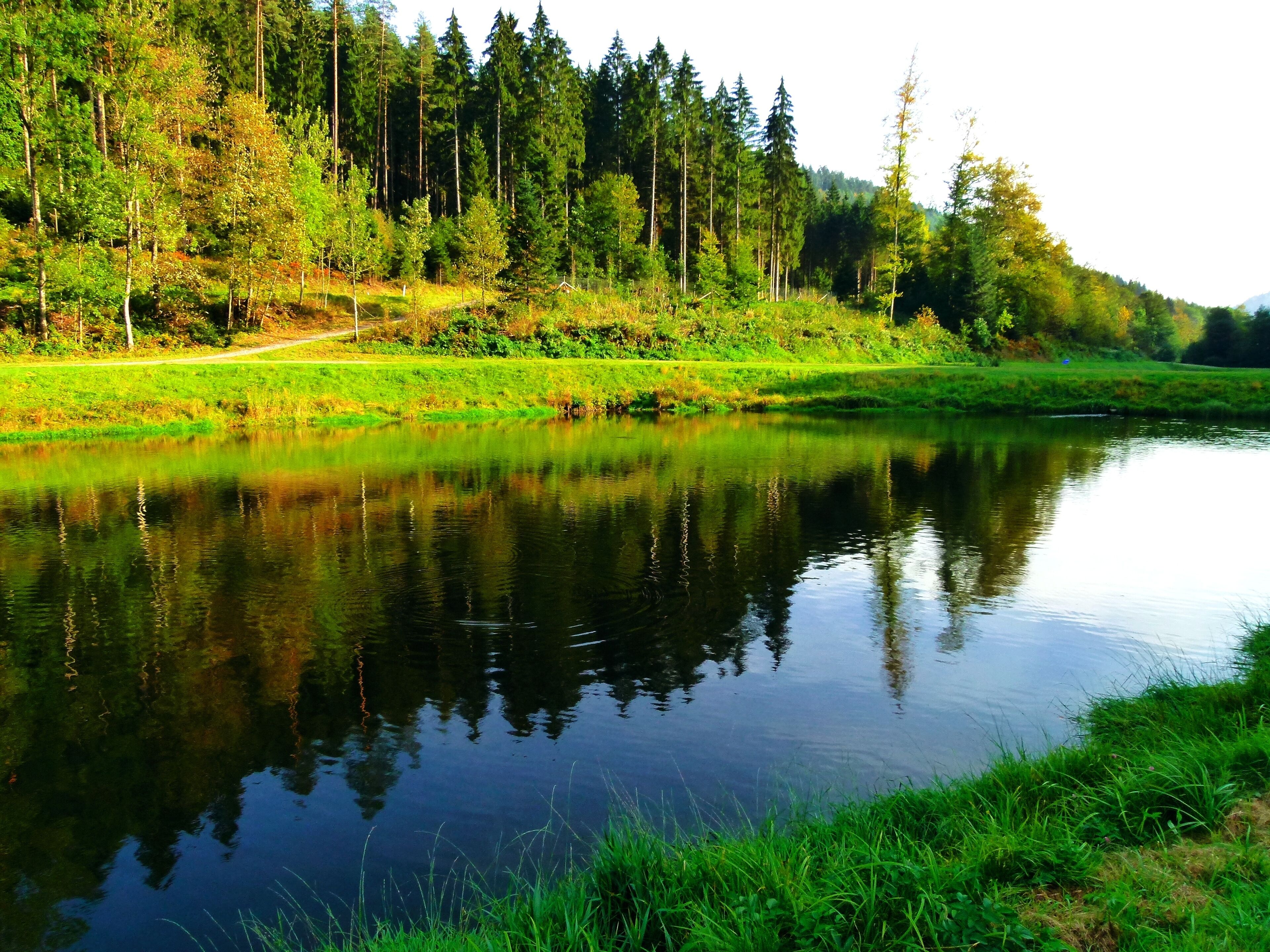 Back Again In Autumn