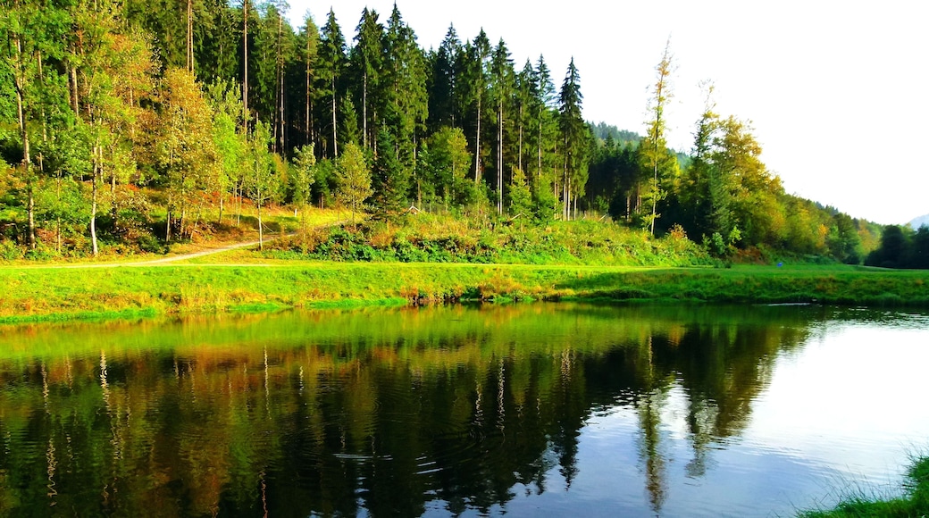 Back Again In Autumn