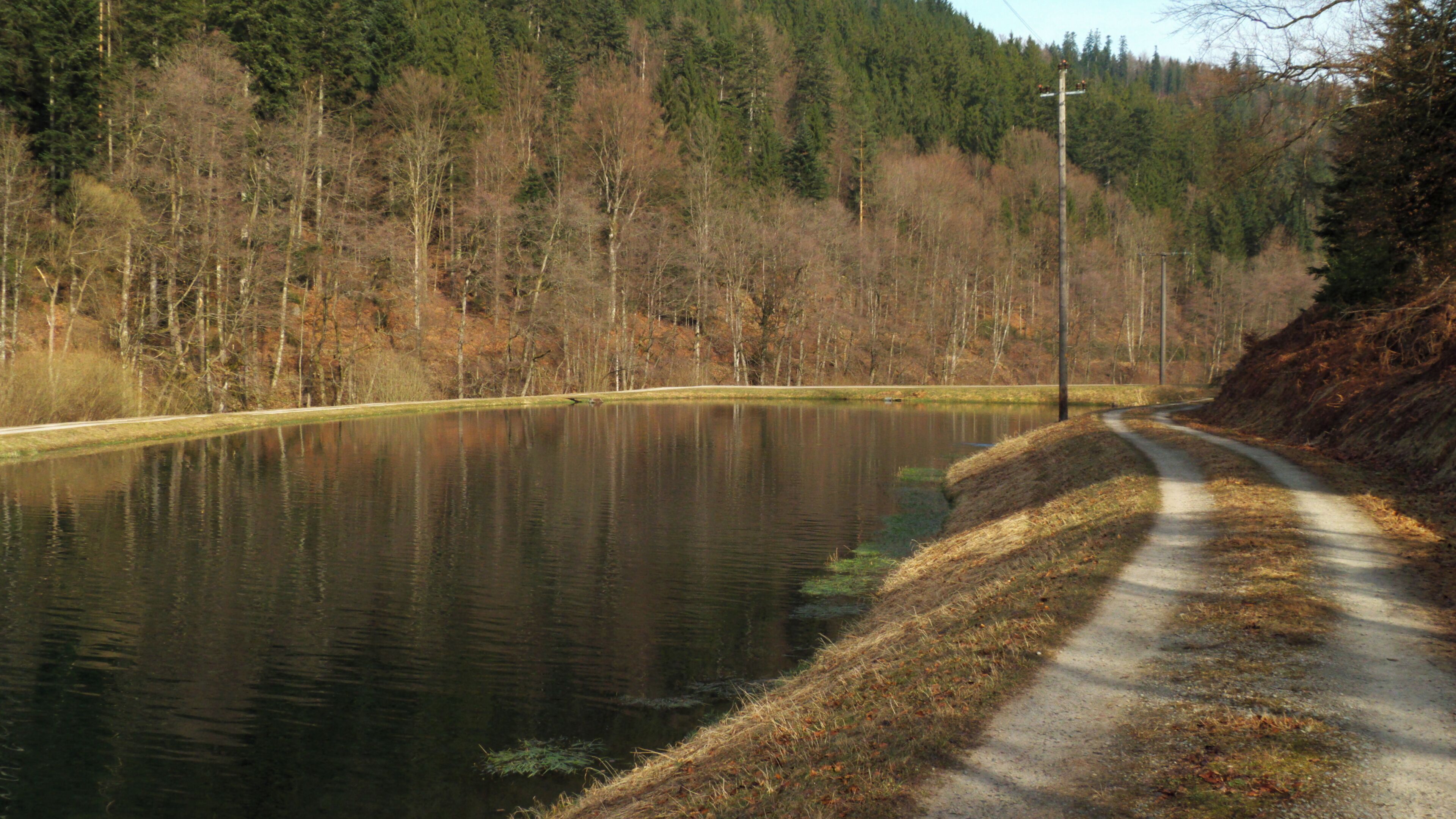 A road curving alongside a calm lake, surrounded by dense forest and a hill in the background.